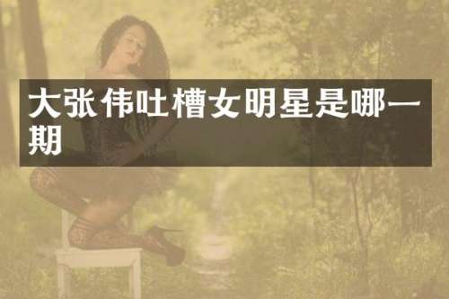 大张伟吐槽女明星是哪一期