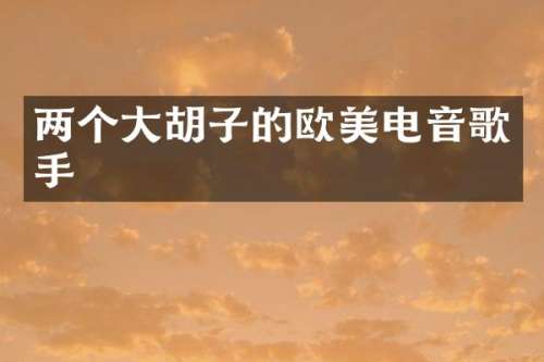 两个大胡子的欧美电音歌手