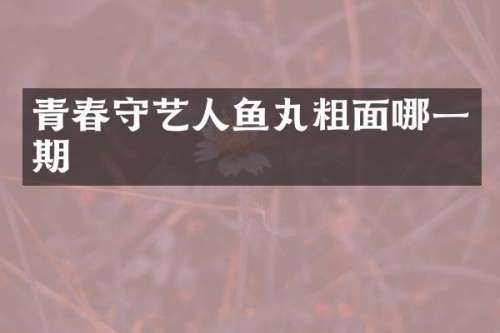 青春守艺人鱼丸粗面哪一期