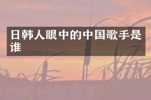 日韩人眼中的中国歌手是谁