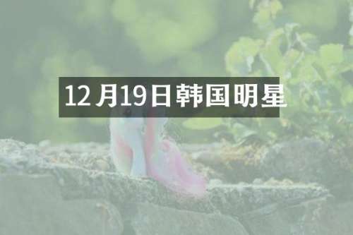 12月19日韩国明星