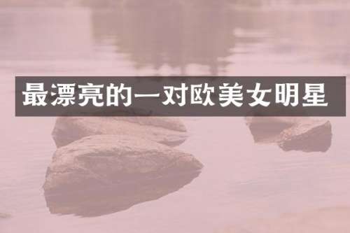最漂亮的一对欧明星