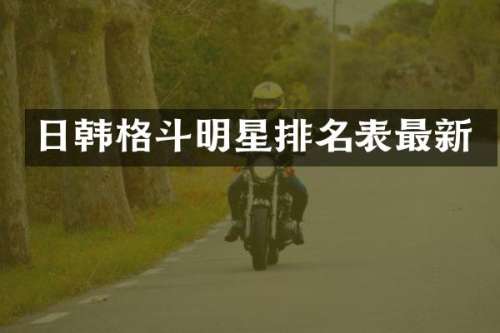 日韩格斗明星排名表最新