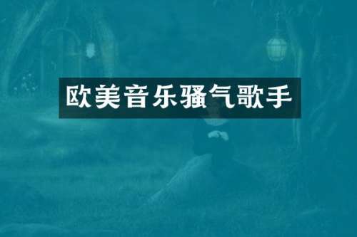 欧美音乐气歌手
