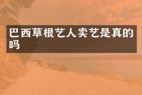 巴西草根艺人卖艺是真的吗
