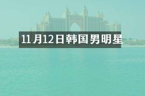 11月12日韩国男明星