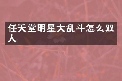 任天堂明星大乱斗怎么双人