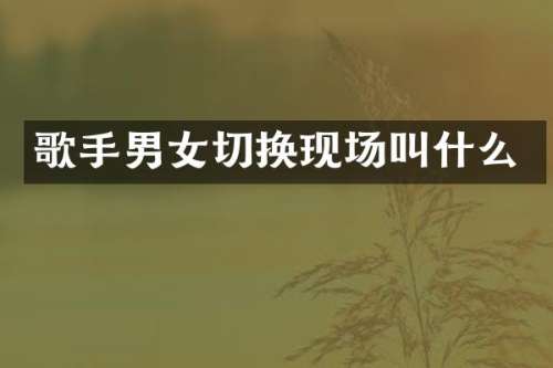 歌手男女切换现场叫什么