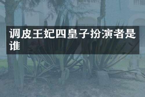 调皮王妃四皇子扮演者是谁