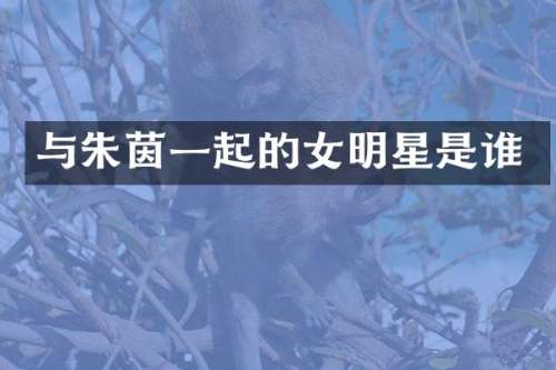 与朱茵一起的女明星是谁