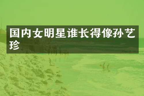 国内女明星谁长得像孙艺珍
