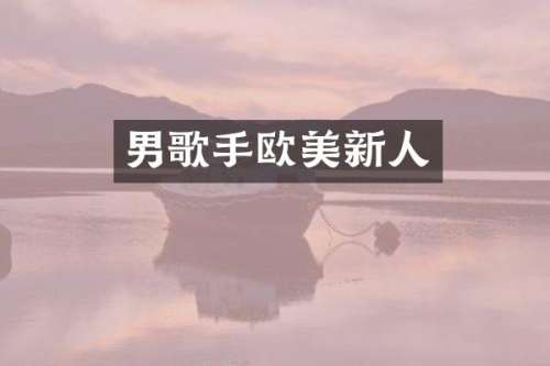 男歌手欧美新人