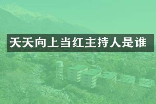天天向上当红主持人是谁