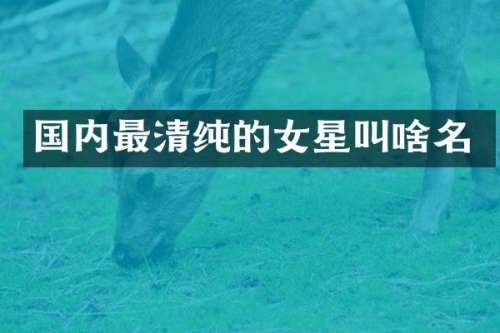 国内最清纯的女星叫啥名