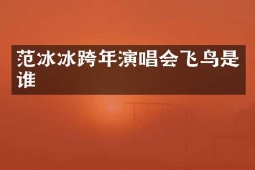 跨年演唱会飞鸟是谁