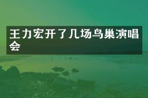 王力宏开了几场鸟巢演唱会