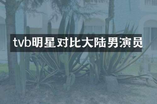tvb明星对比大陆男演员