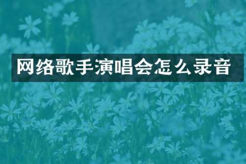 网络歌手演唱会怎么录音