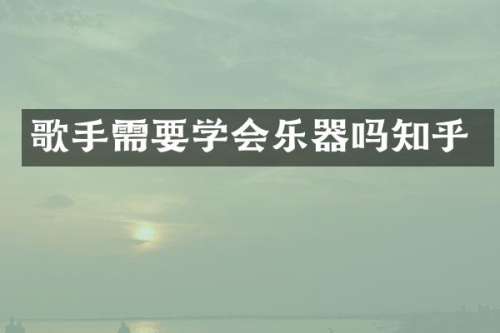 歌手需要学会乐器吗知乎