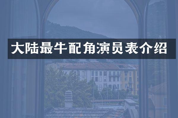 大陆最牛配角演员表介绍