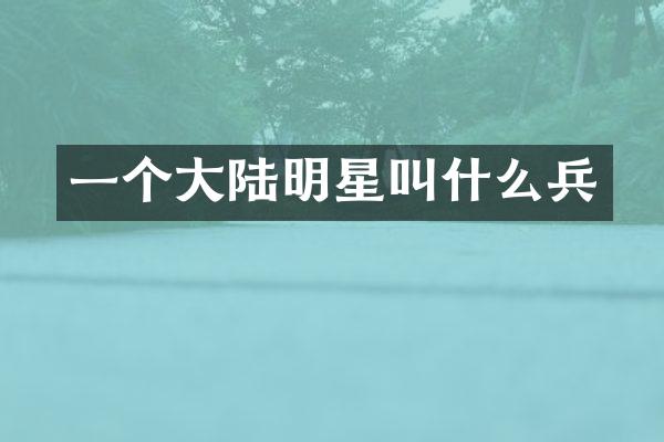 一个大陆明星叫什么兵