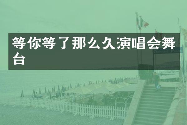 等你等了那么久演唱会舞台