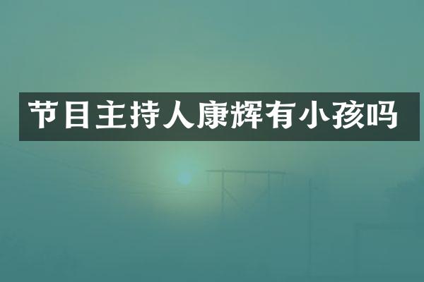 节目主持人康辉有小孩吗