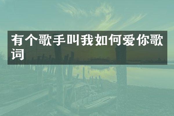 有个歌手叫我如何爱你歌词