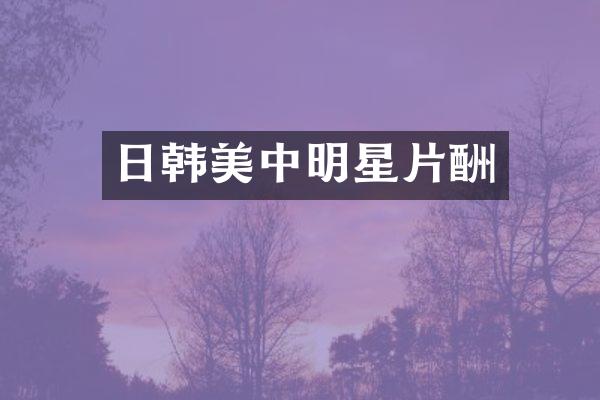 日韩美中明星片酬