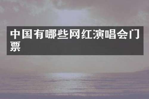 中国有哪些网红演唱会门票