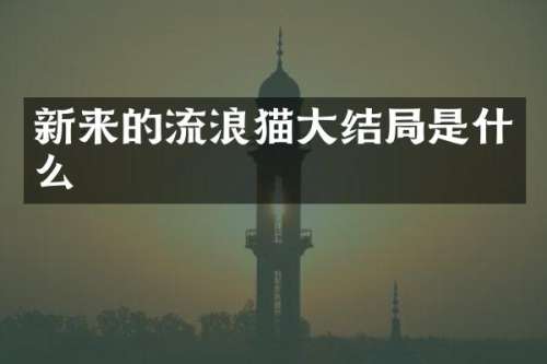 新来的流浪猫大结局是什么