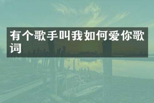 有个歌手叫我如何爱你歌词