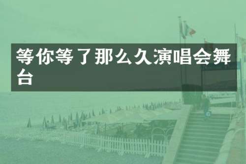等你等了那么久演唱会舞台