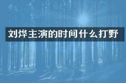 刘烨主演的时间什么打野