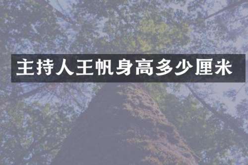 主持人王帆身高多少厘米