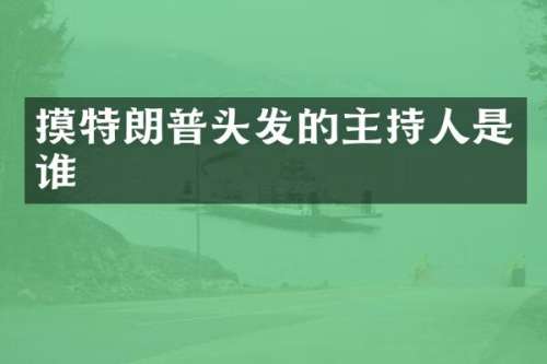 摸特朗普头发的主持人是谁
