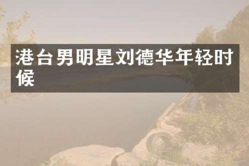 港台男明星刘德华年轻时候