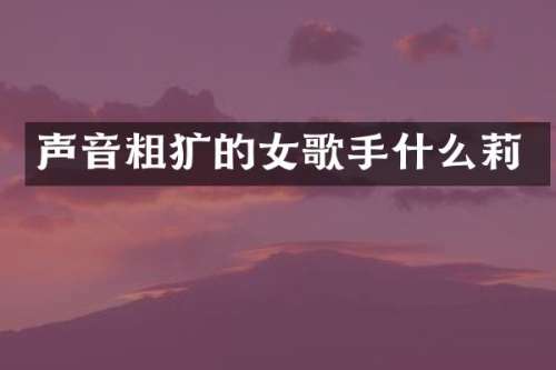 声音粗犷的女歌手什么莉