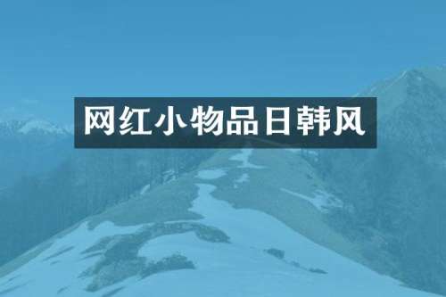 网红小物品日韩风
