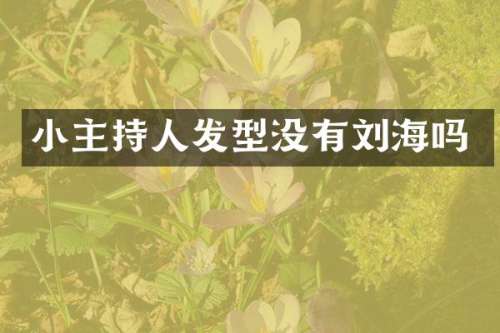 小主持人发型没有刘海吗