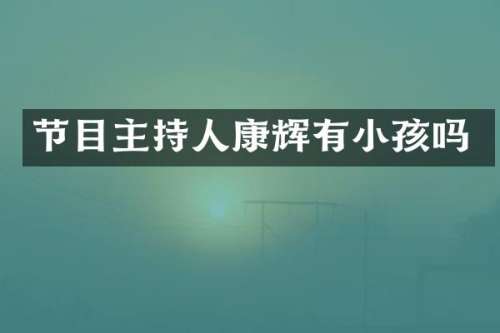 节目主持人康辉有小孩吗