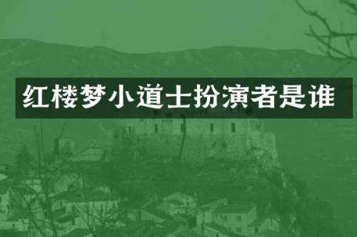 红楼梦小道士扮演者是谁