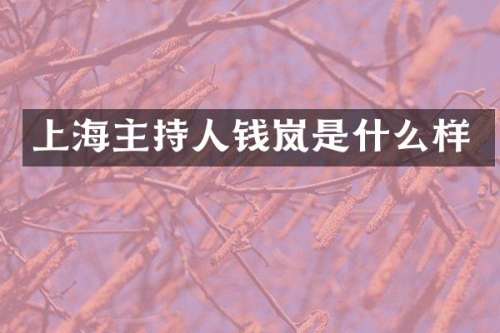 上海主持人钱岚是什么样