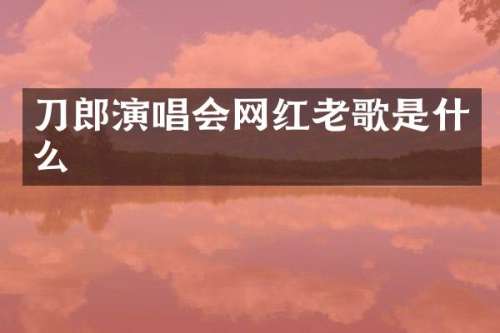 刀郎演唱会网红老歌是什么