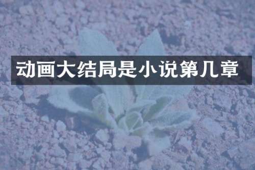 动画大结局是小说第几章
