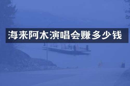 海来阿木演唱会赚多少钱