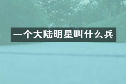 一个大陆明星叫什么兵