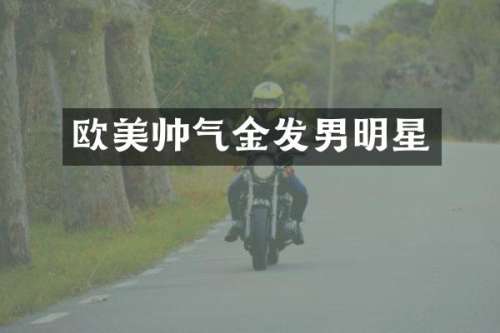 欧美帅气金发男明星