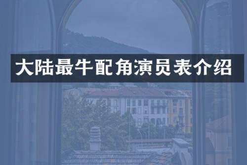 大陆最牛配角演员表介绍