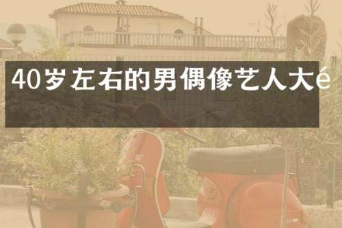 40岁左右的男偶像艺人大陆